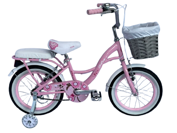 WhatsApp_Image_2024-11-23_at_2.14.05_PM-removebg-preview