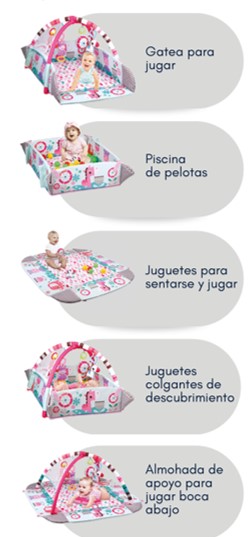 Imagen26